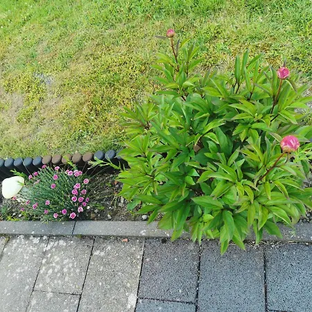 4-zimmer-wohnung Mit 6 Betten Bad Oeynhausen