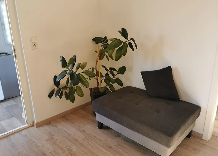 Apartman Tiravisa *